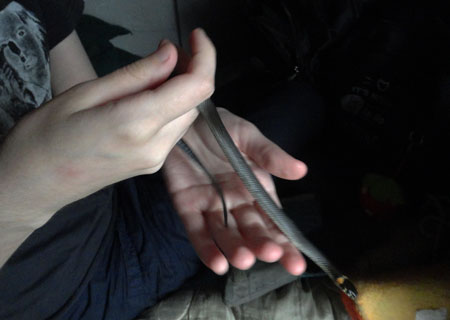 ������� 33